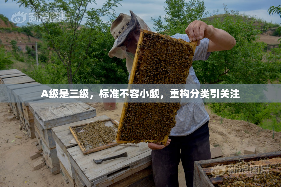 A级是三级，标准不容小觑，重构分类引关注
