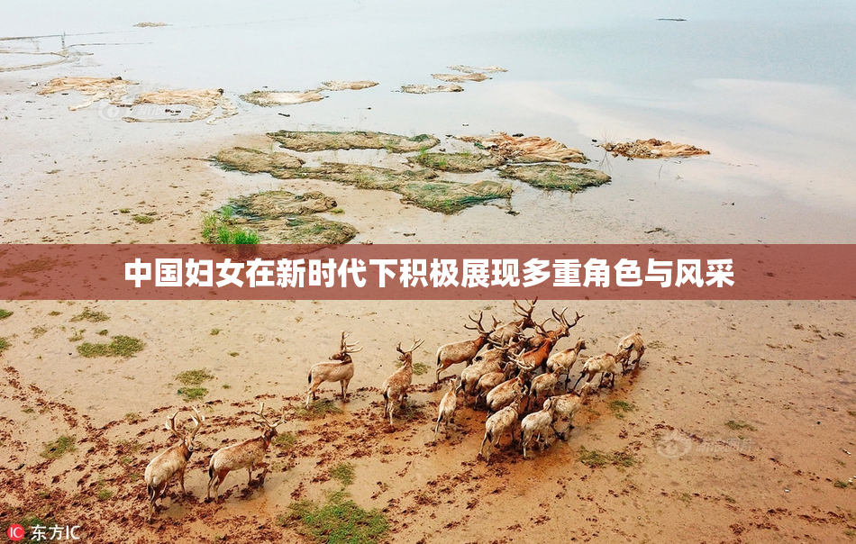 中国妇女在新时代下积极展现多重角色与风采