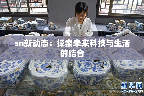 sn新动态：探索未来科技与生活的结合