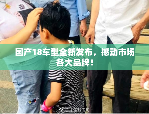 国产18车型全新发布，撼动市场各大品牌！