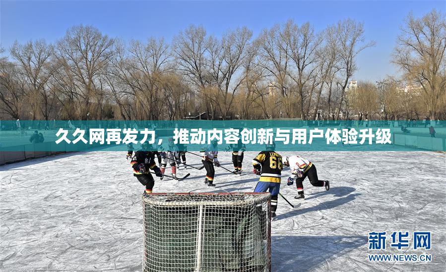 久久网再发力，推动内容创新与用户体验升级