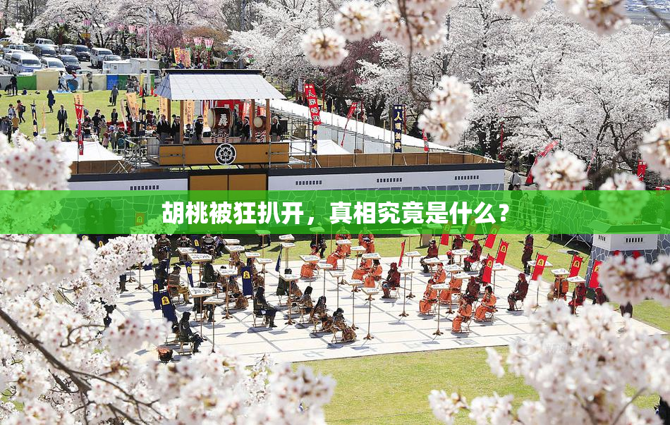 胡桃被狂扒开，真相究竟是什么？