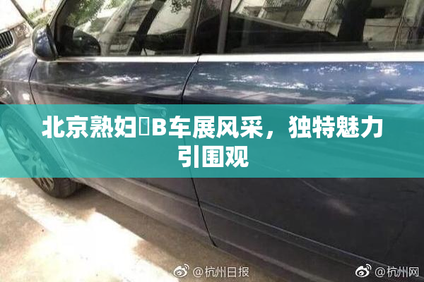 北京熟妇槡B车展风采，独特魅力引围观