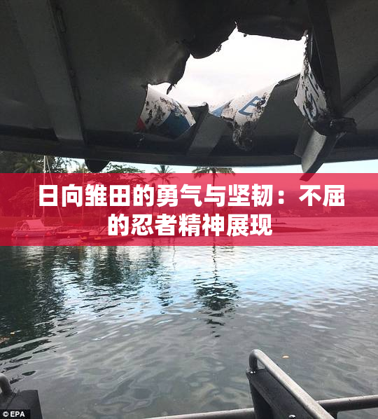 日向雏田的勇气与坚韧：不屈的忍者精神展现