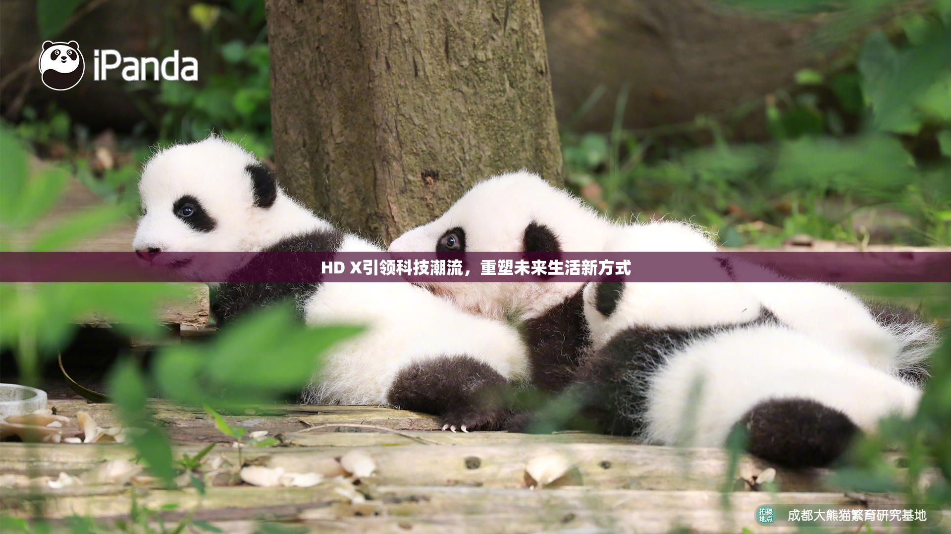 HD X引领科技潮流，重塑未来生活新方式