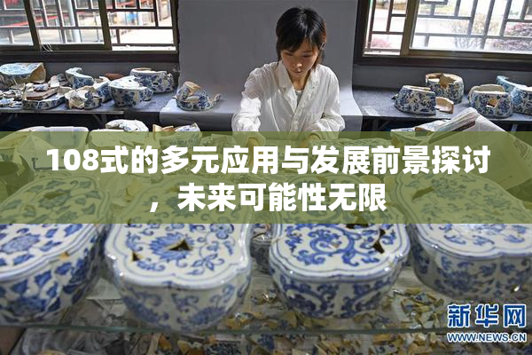 108式的多元应用与发展前景探讨，未来可能性无限