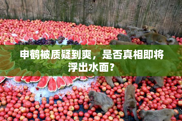 申鹤被质疑到爽，是否真相即将浮出水面？