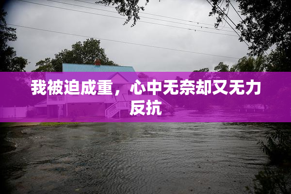 我被迫成重，心中无奈却又无力反抗