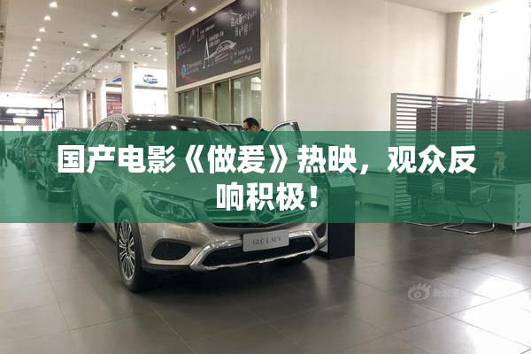 国产电影《做爰》热映，观众反响积极！