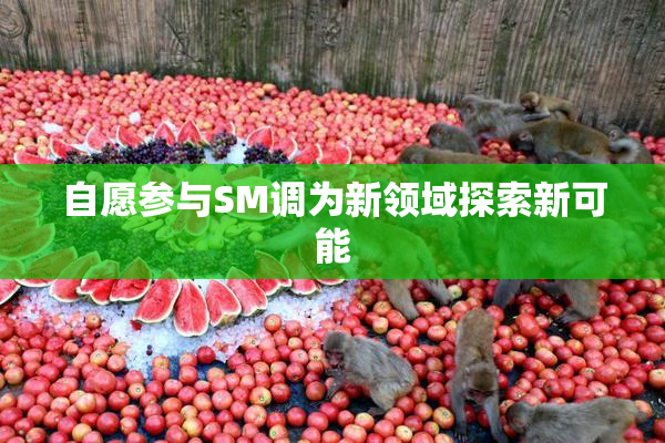 自愿参与SM调为新领域探索新可能