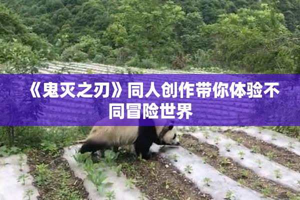《鬼灭之刃》同人创作带你体验不同冒险世界