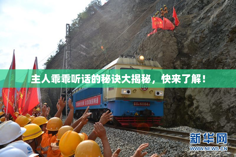 主人乖乖听话的秘诀大揭秘，快来了解！
