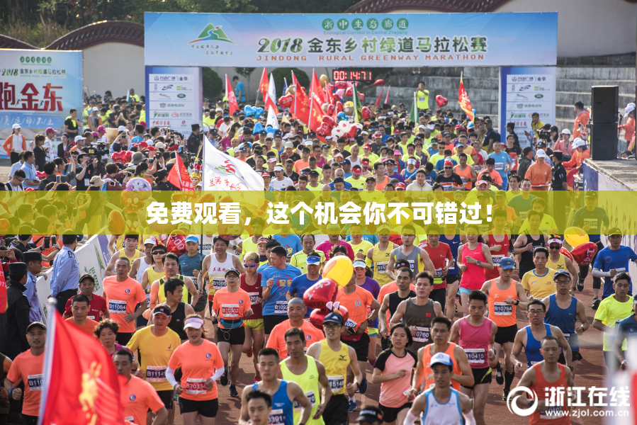 免费观看，这个机会你不可错过！