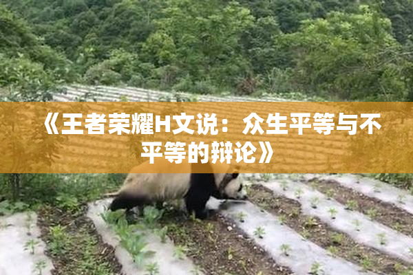 《王者荣耀H文说：众生平等与不平等的辩论》