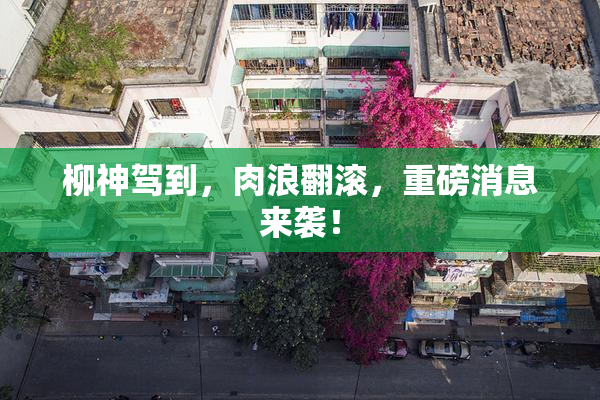 柳神驾到，肉浪翻滚，重磅消息来袭！