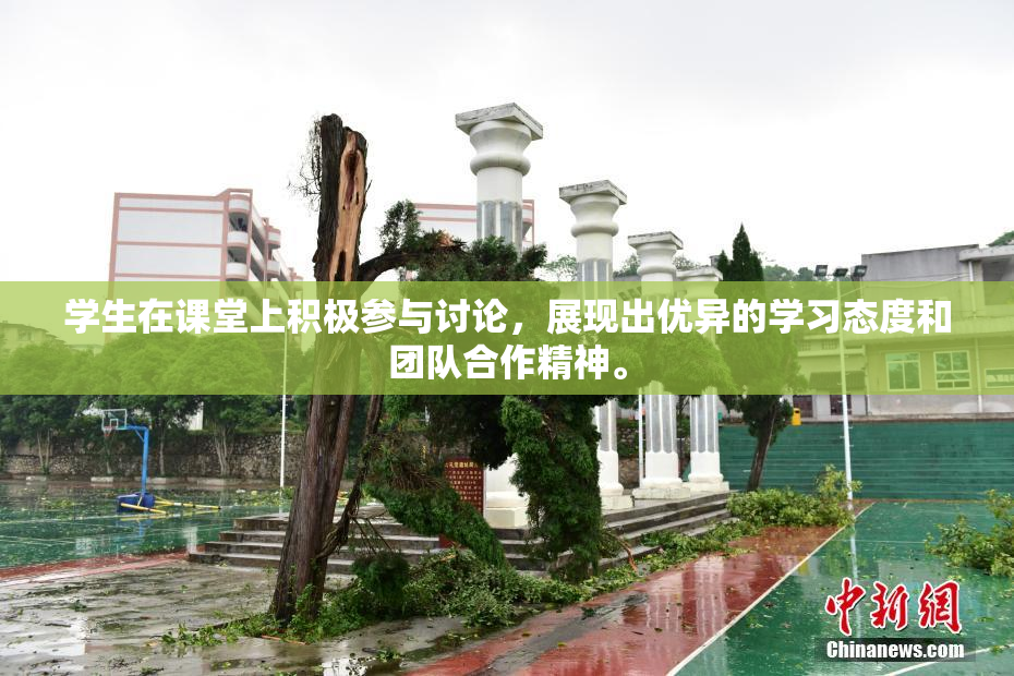 学生在课堂上积极参与讨论，展现出优异的学习态度和团队合作精神。