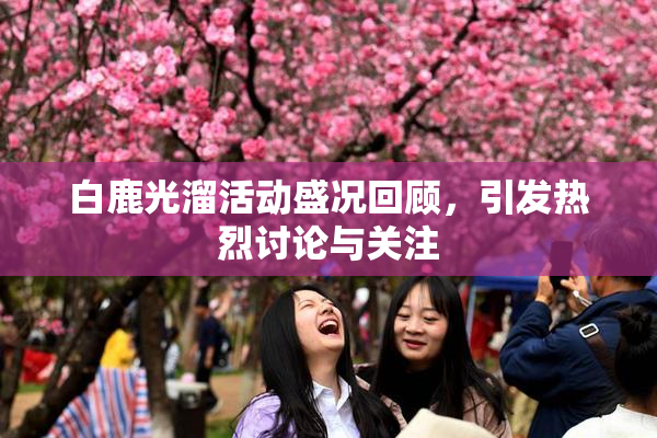 白鹿光溜活动盛况回顾，引发热烈讨论与关注