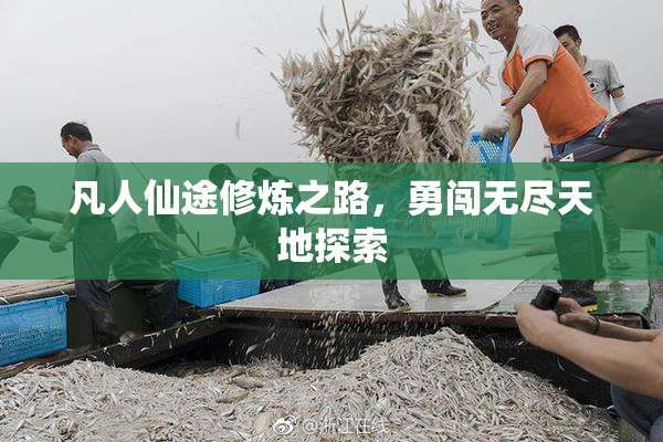 凡人仙途修炼之路，勇闯无尽天地探索
