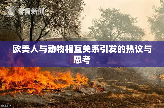 欧美人与动物相互关系引发的热议与思考