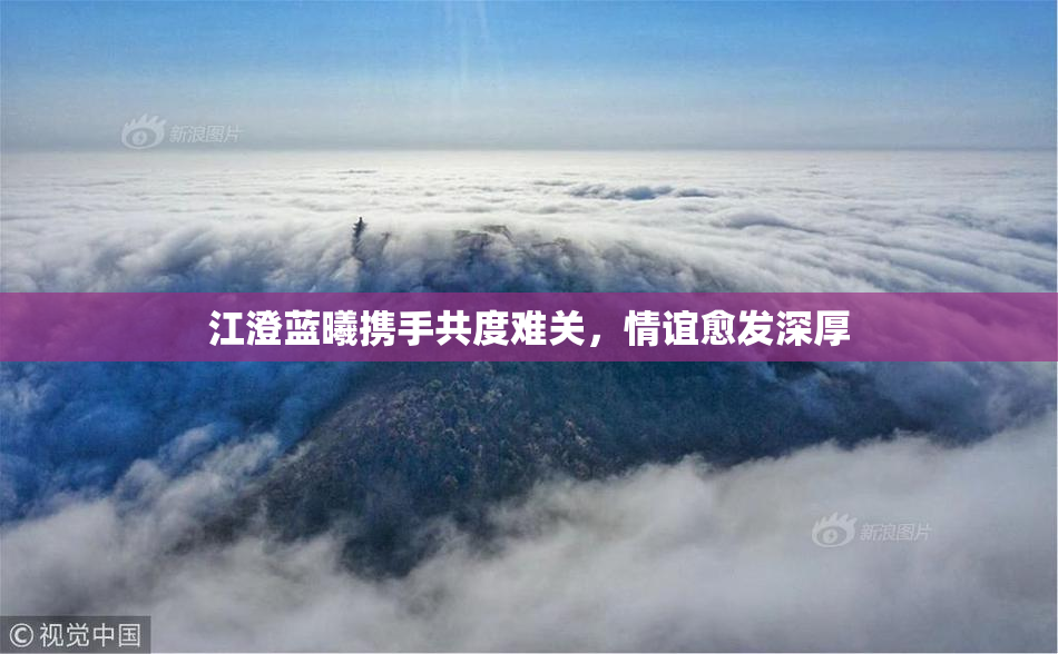 江澄蓝曦携手共度难关，情谊愈发深厚
