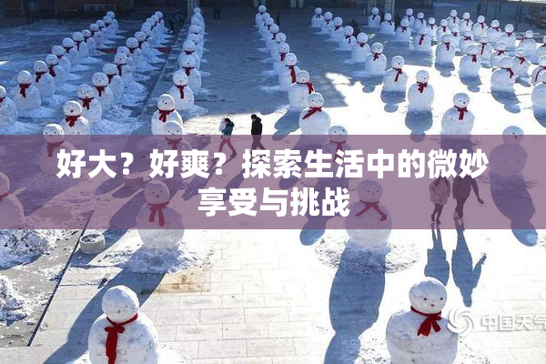 好大？好爽？探索生活中的微妙享受与挑战