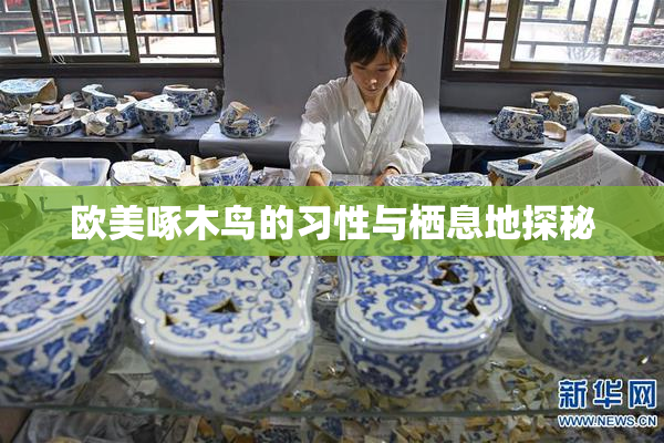 欧美啄木鸟的习性与栖息地探秘