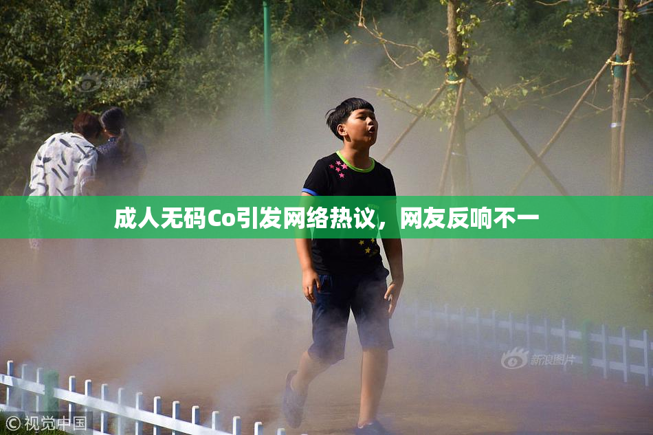 成人无码Co引发网络热议，网友反响不一