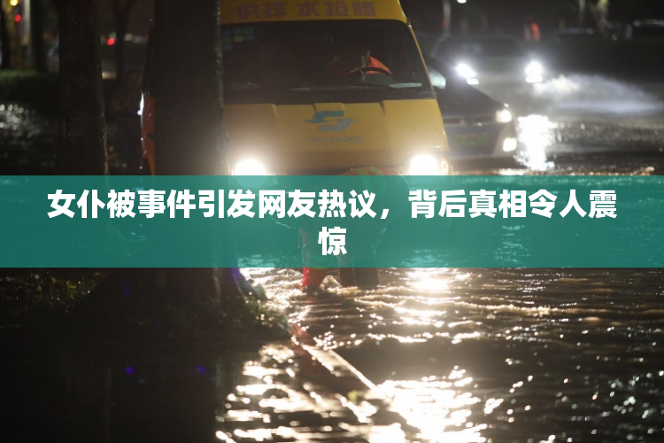 女仆被事件引发网友热议，背后真相令人震惊