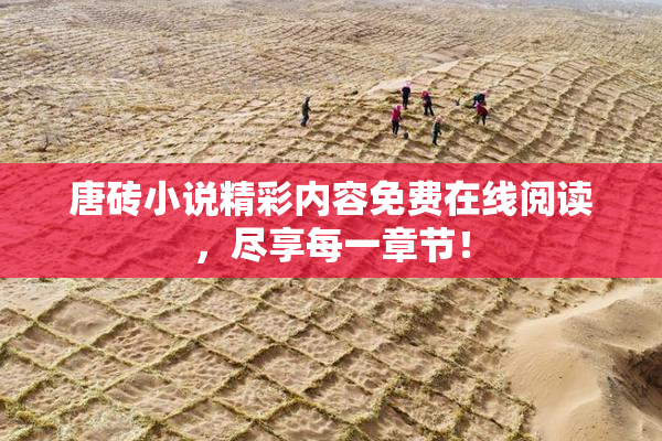 唐砖小说精彩内容免费在线阅读，尽享每一章节！