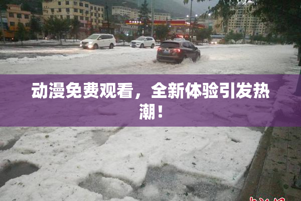 动漫免费观看，全新体验引发热潮！