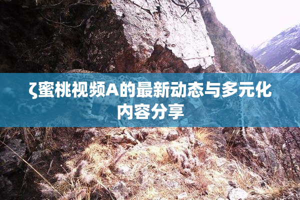 ζ蜜桃视频A的最新动态与多元化内容分享