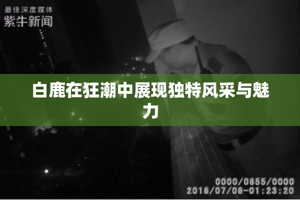 白鹿在狂潮中展现独特风采与魅力