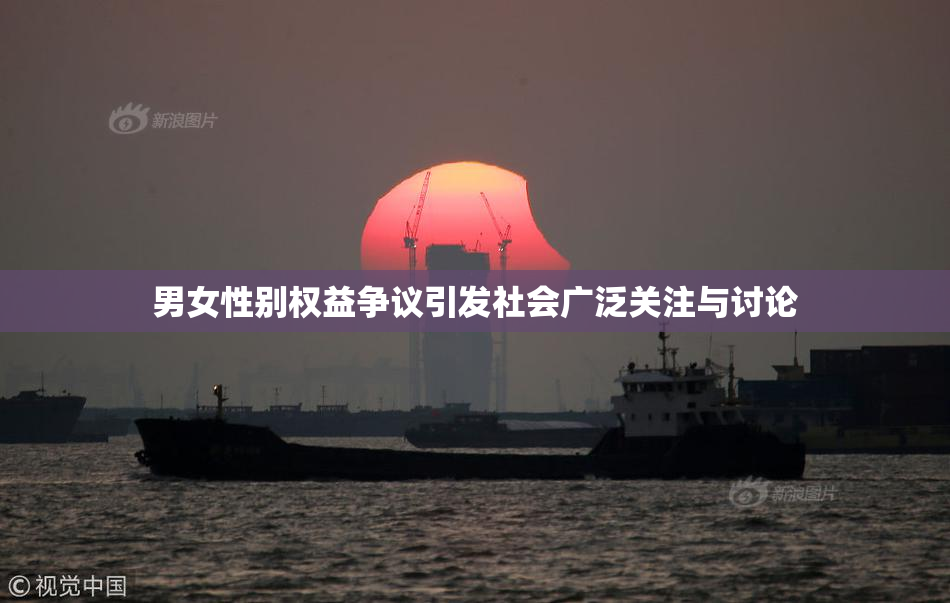 男女性别权益争议引发社会广泛关注与讨论