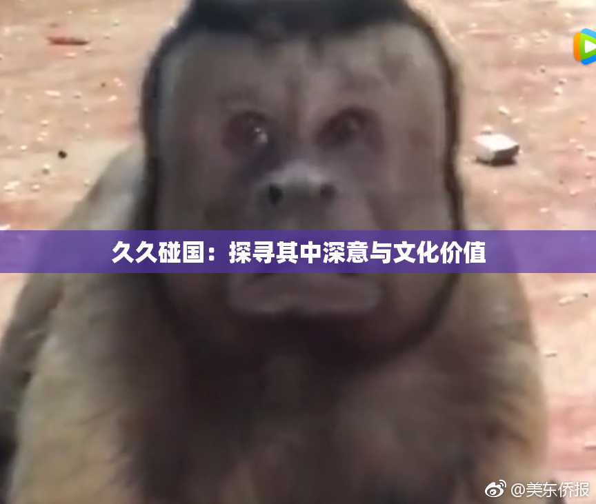 久久碰国：探寻其中深意与文化价值
