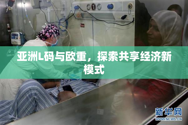 亚洲L码与欧重，探索共享经济新模式