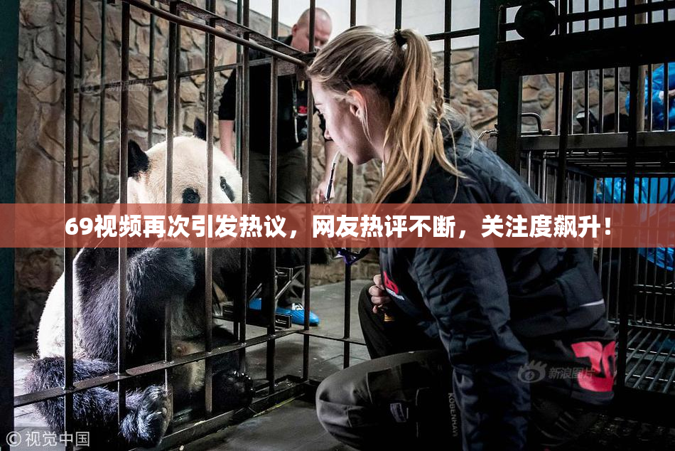 69视频再次引发热议，网友热评不断，关注度飙升！