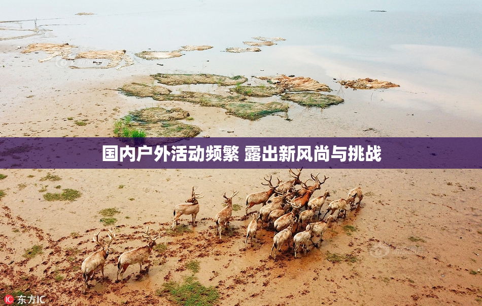 国内户外活动频繁 露出新风尚与挑战