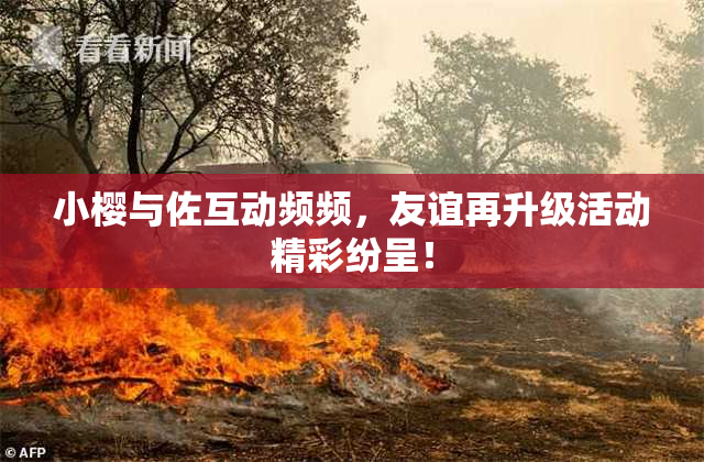 小樱与佐互动频频，友谊再升级活动精彩纷呈！