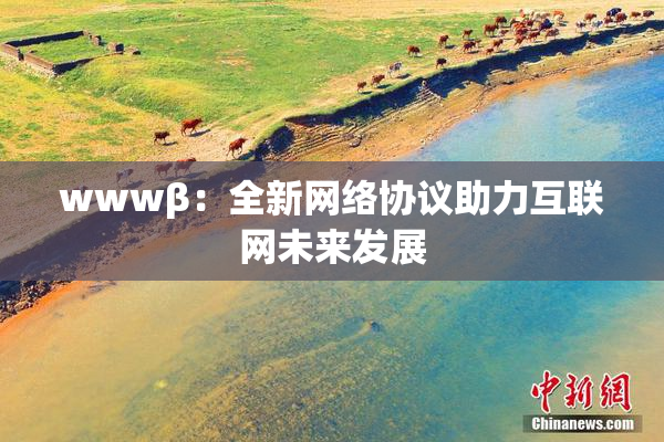 wwwβ：全新网络协议助力互联网未来发展