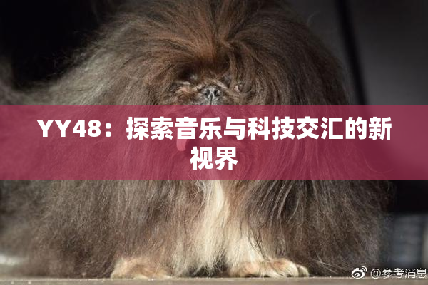 YY48：探索音乐与科技交汇的新视界