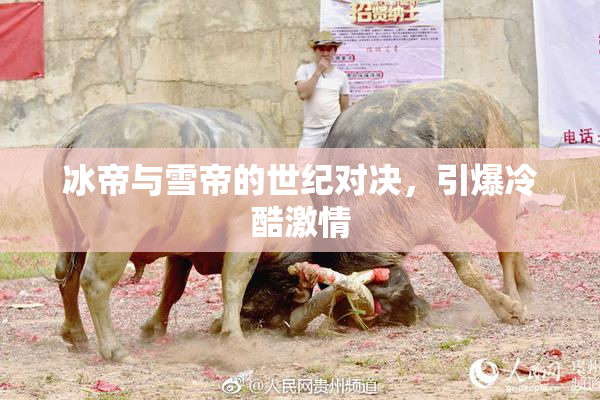 冰帝与雪帝的世纪对决，引爆冷酷激情