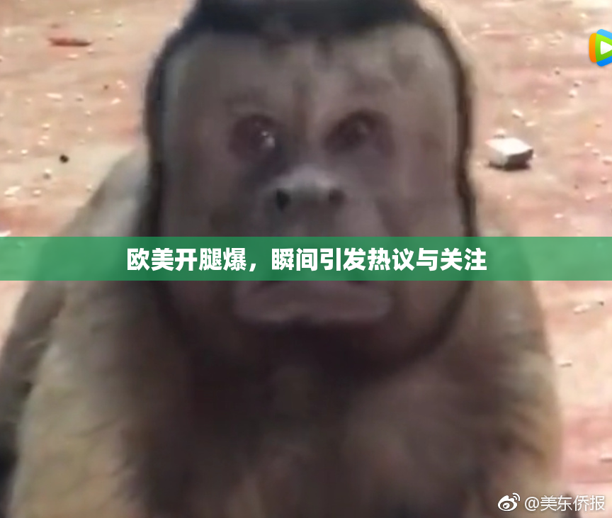 欧美开腿爆，瞬间引发热议与关注