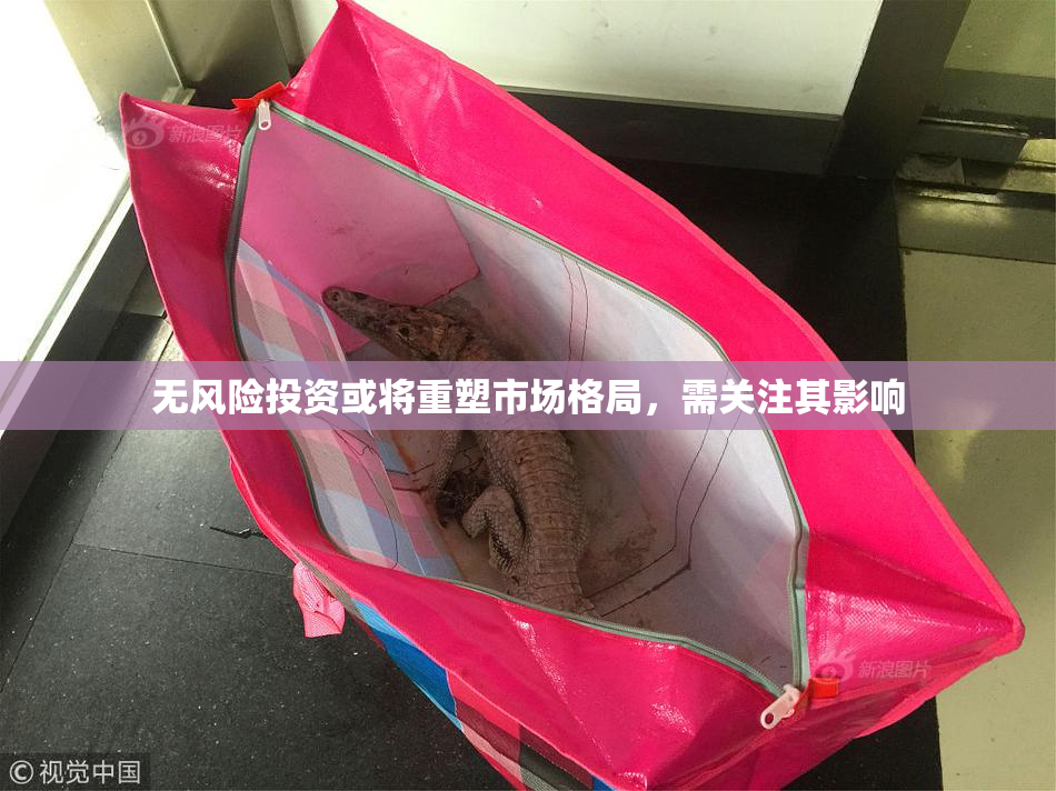 无风险投资或将重塑市场格局，需关注其影响