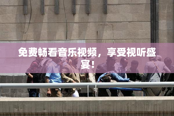 免费畅看音乐视频，享受视听盛宴！