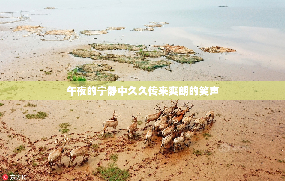 午夜的宁静中久久传来爽朗的笑声