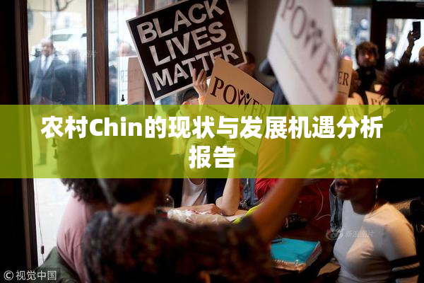 农村Chin的现状与发展机遇分析报告