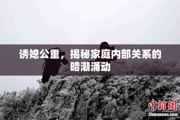 诱媳公重，揭秘家庭内部关系的暗潮涌动