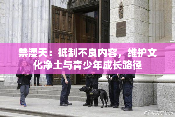 禁漫天：抵制不良内容，维护文化净土与青少年成长路径