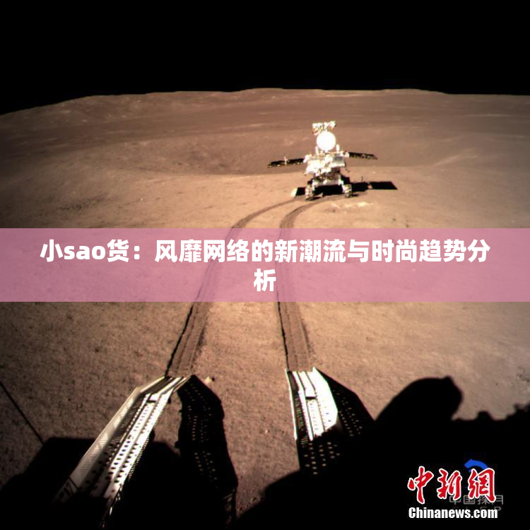 小sao货：风靡网络的新潮流与时尚趋势分析