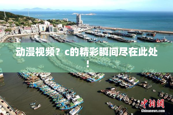 动漫视频？c的精彩瞬间尽在此处！